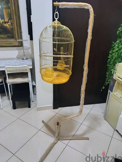 Golden Bird Cage