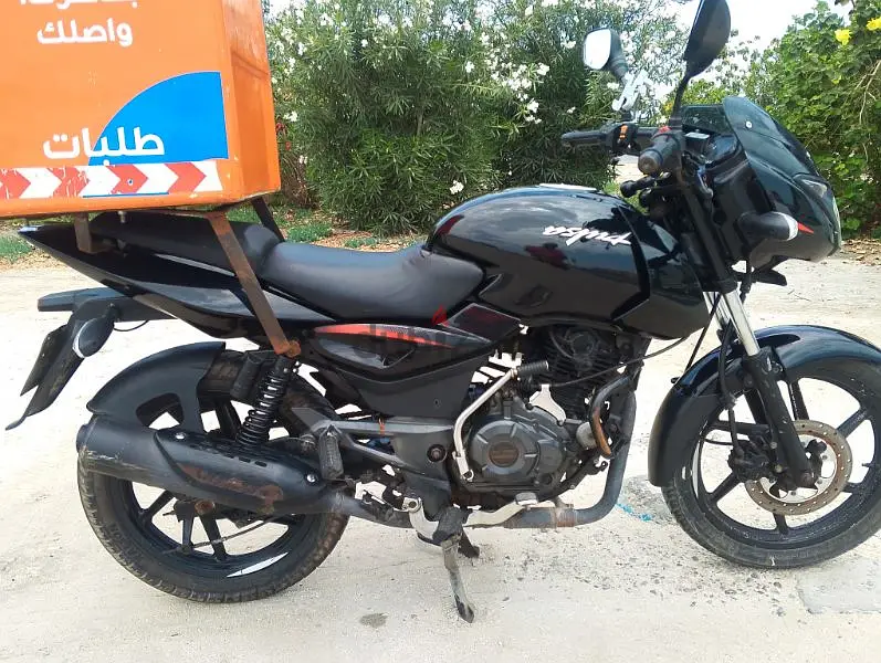 palsar452651396723517441