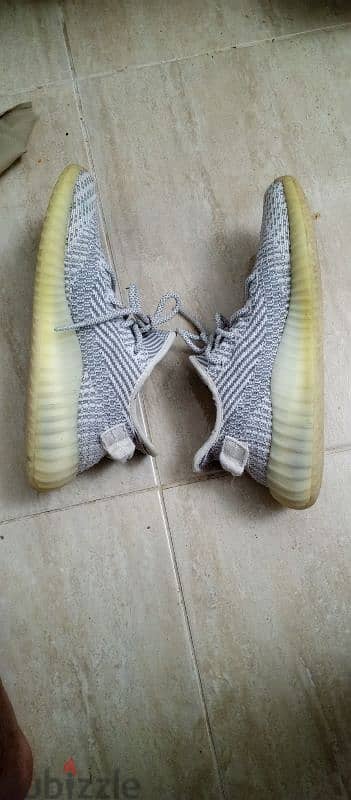 Adidas shoes for sale.