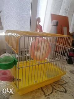 Small cage with a plate, wheel and water rack 0