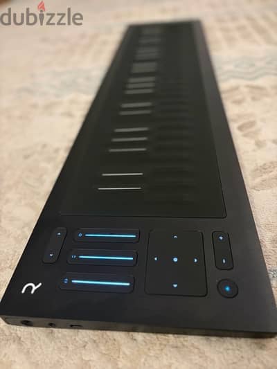 MIDI keyboard ROLI Rise Seaboard 2