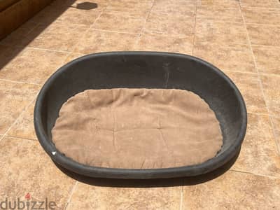 Cat accessories for sale