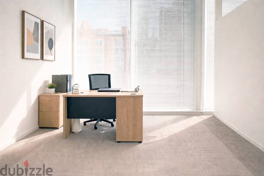 COMMERCIAL  ADDRESS OFFICES FOR RENT 1