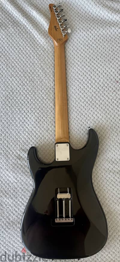 Schecter guitar