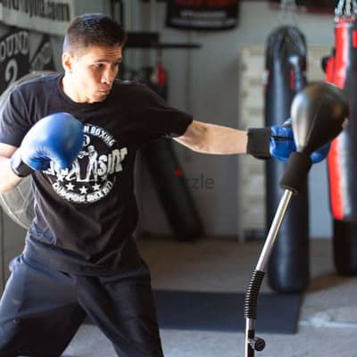 Ringside Cobra Reflex Free-Standing Adjustable punching bag with glove