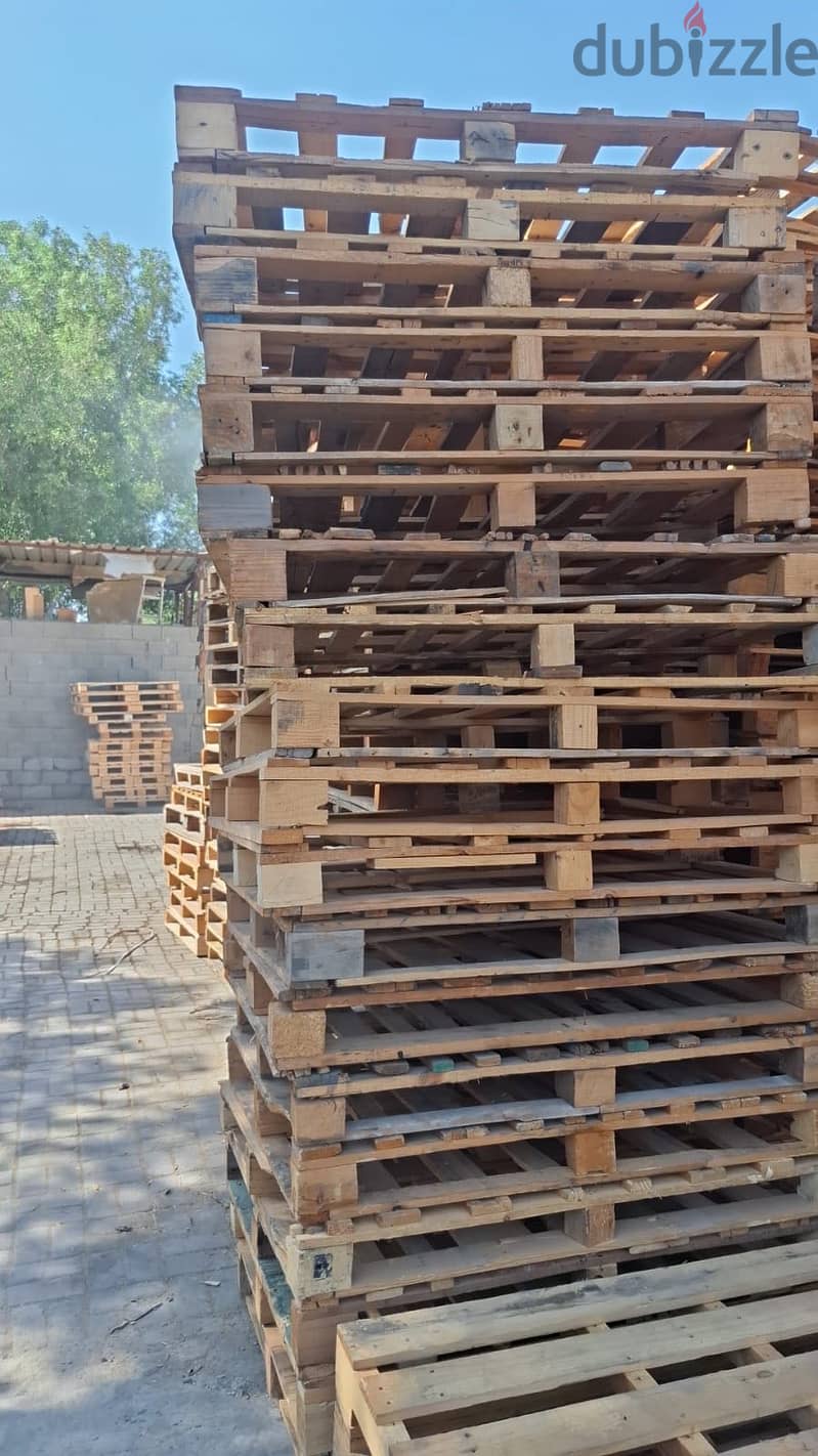 Wood Pallet , plastic pallet 1