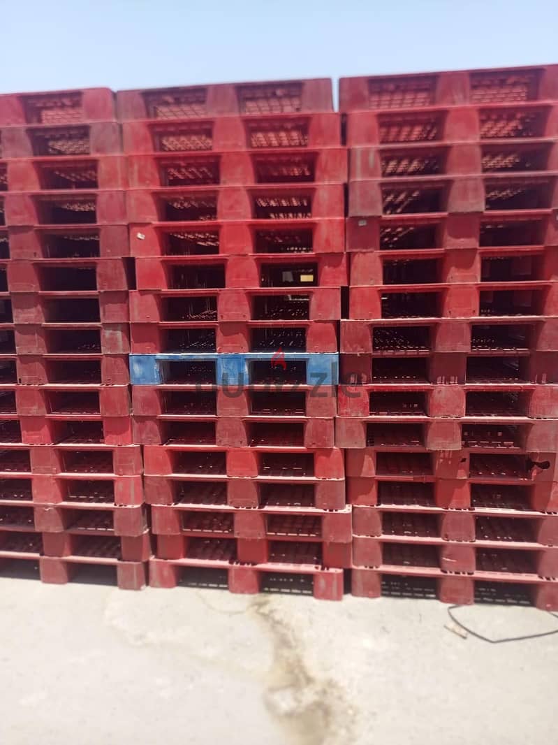 Wood Pallet , plastic pallet 5