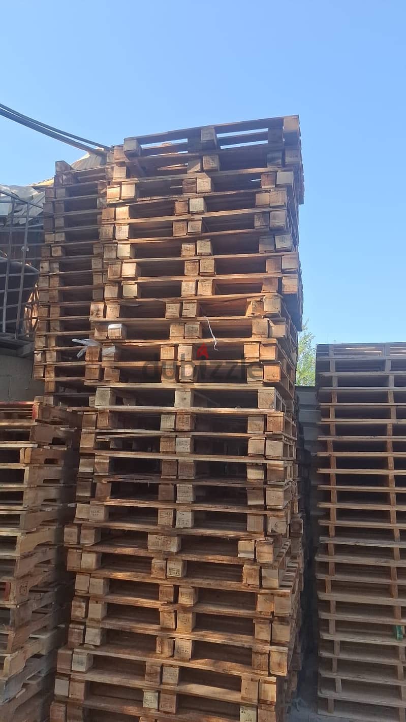 Wood Pallet , plastic pallet 9