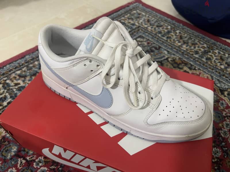 Nike adunks Low 1