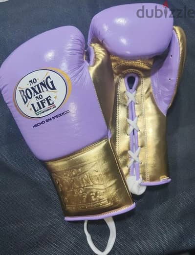 boxing sparing gloves