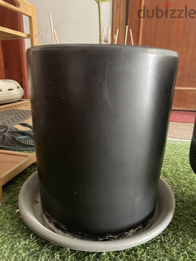 Vase for plants