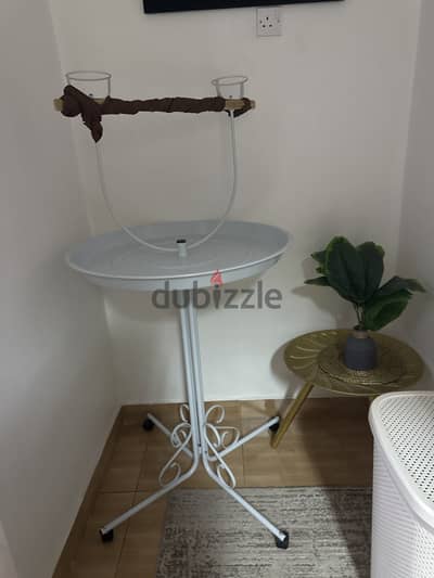 Parrot stand for sale