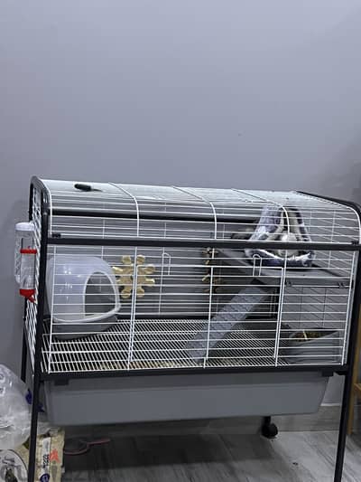 Big cage