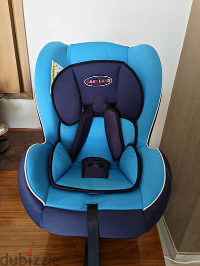 Baby Car Seater