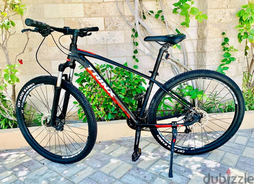 29" Branded MTB (Trinx) 1