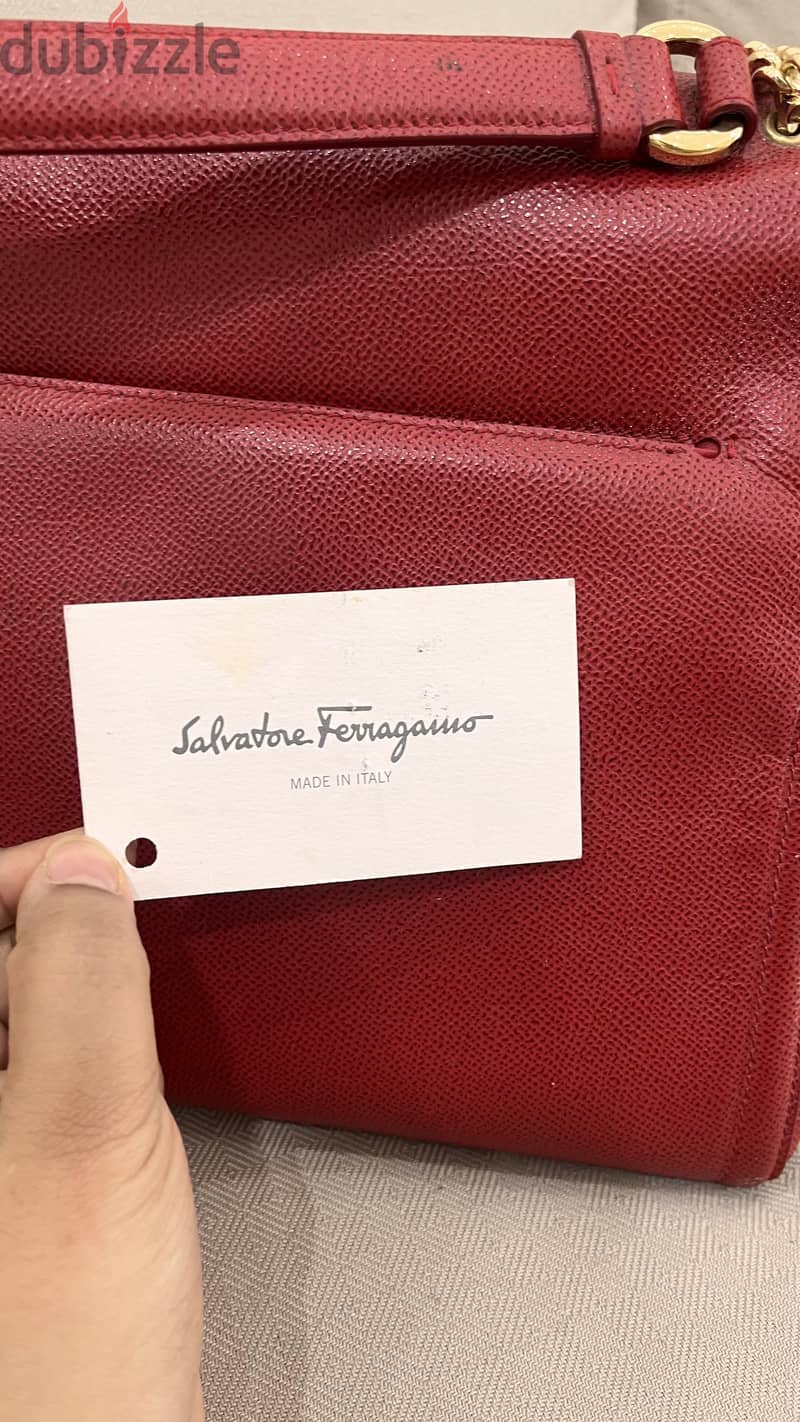 Salvatore Luxury Bag 4