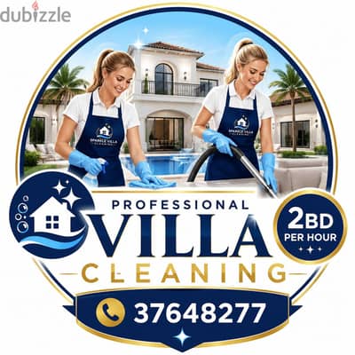cleaning services at 2Bd per hour