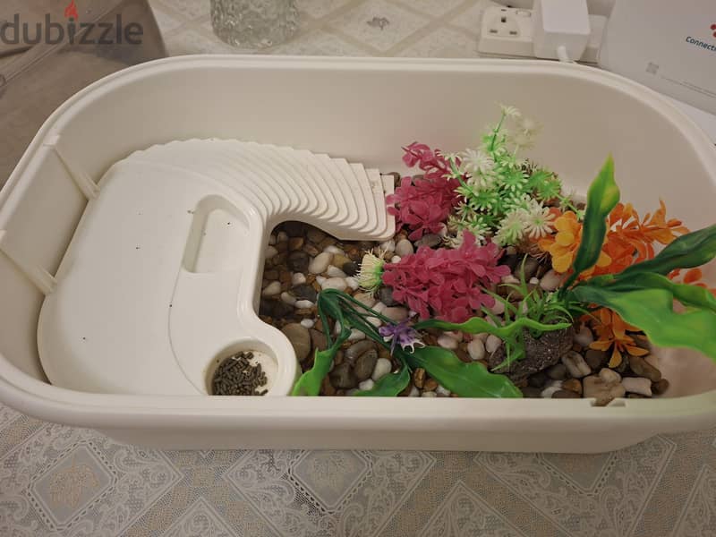 Complete Turtle Habitat & Tiny Turtle For Sale 4
