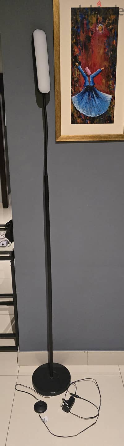 Floor lamp LED