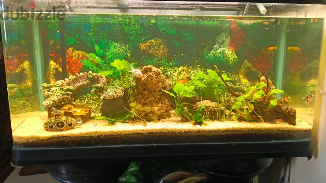 used aqua soil 1