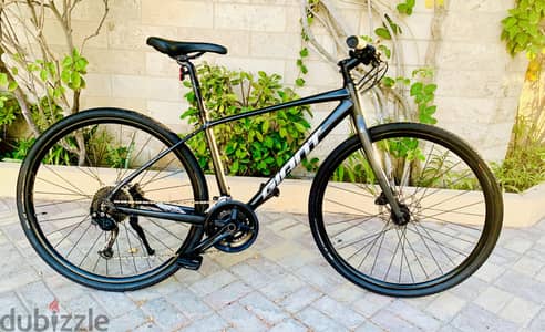 Giant Escape Hybrid Bike