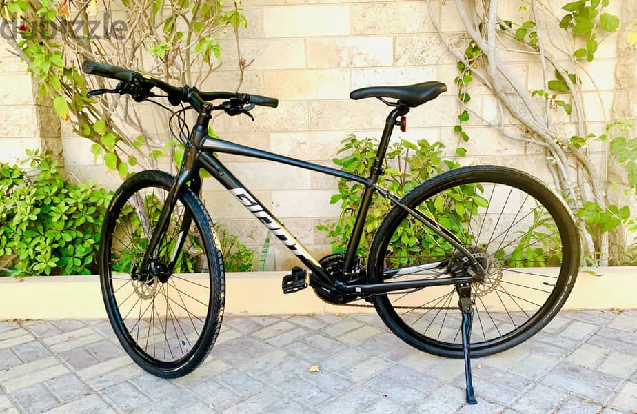 Giant Escape Hybrid Bike 1