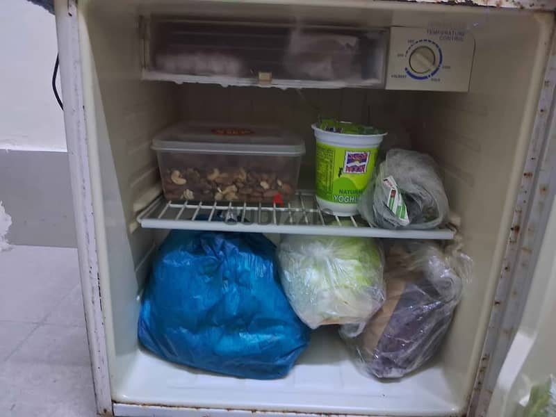 Mini Refrigerator- CFC - Single person use - color white, 100% working 2