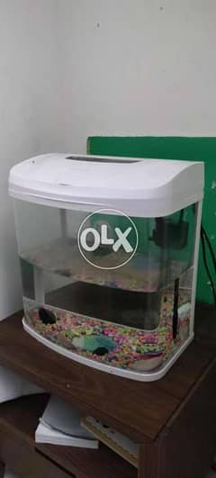 Fish Tank 0