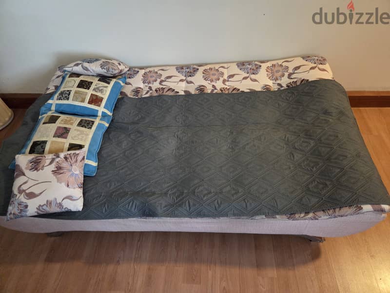 SOFA CUM BED 1