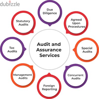 AUDIT / VAT / BOOKKEEPING / SOFTWARE / ESR / UBO