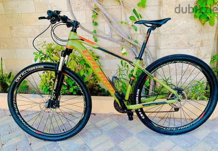 29" Branded MTB