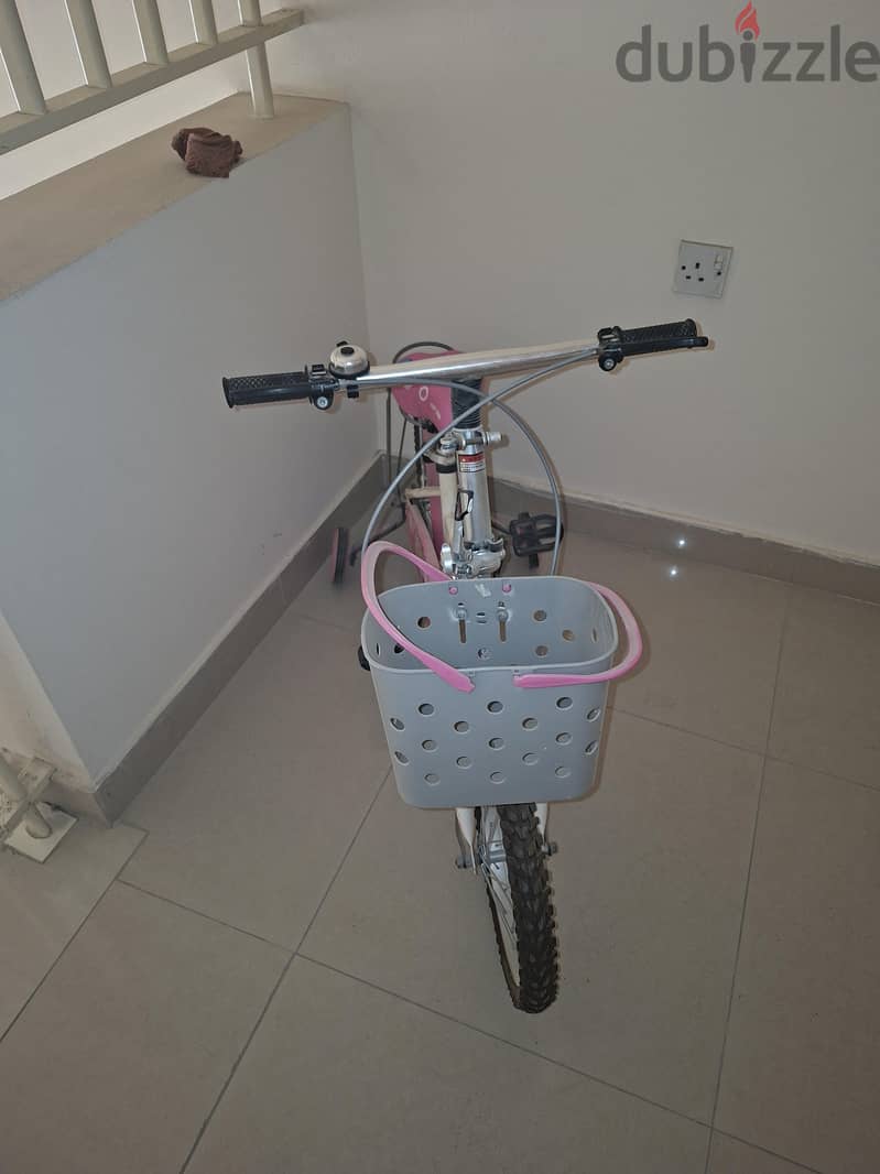 Pink Barbie Bicycle 2