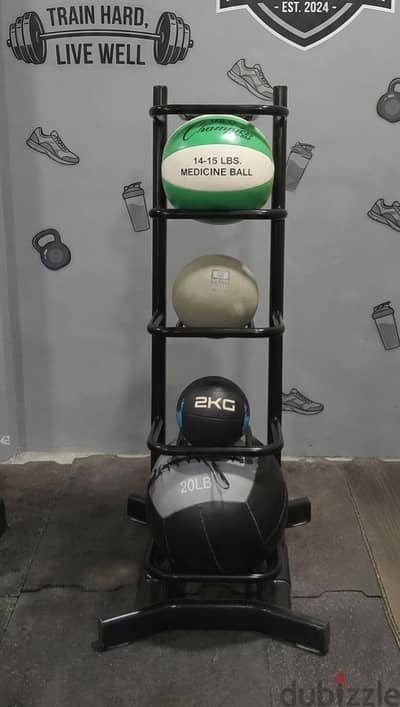 cross fit balls with rack
