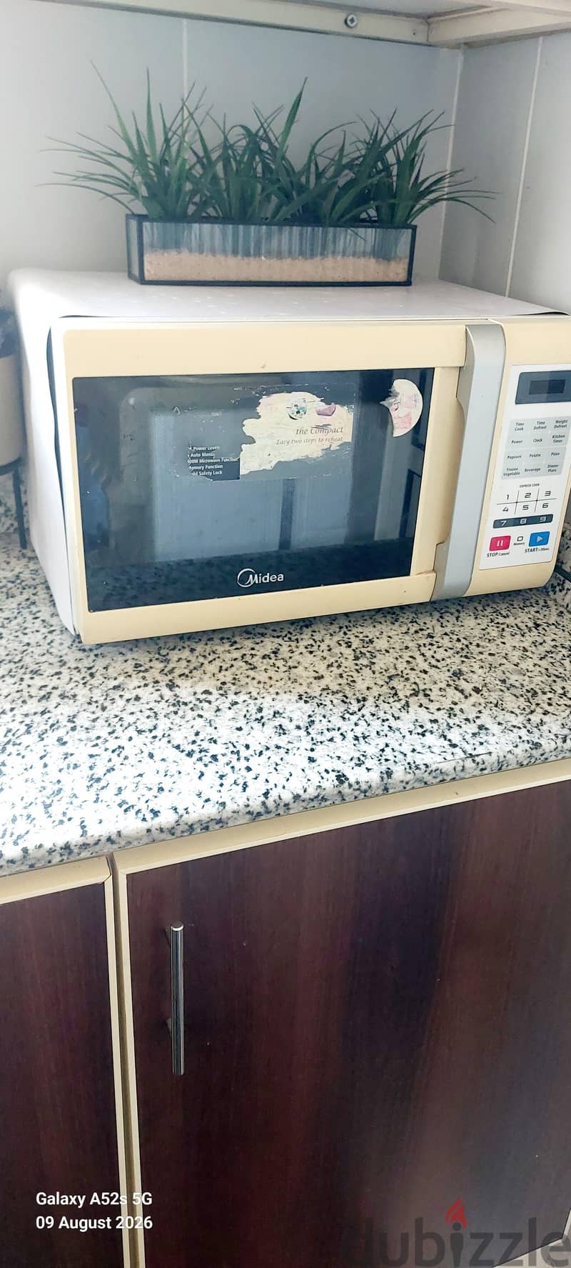 baby Walker & dress, microwave, flower vase & plants 1
