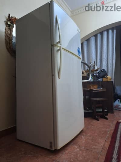20 BD fridge need repair Electrolux 460 L