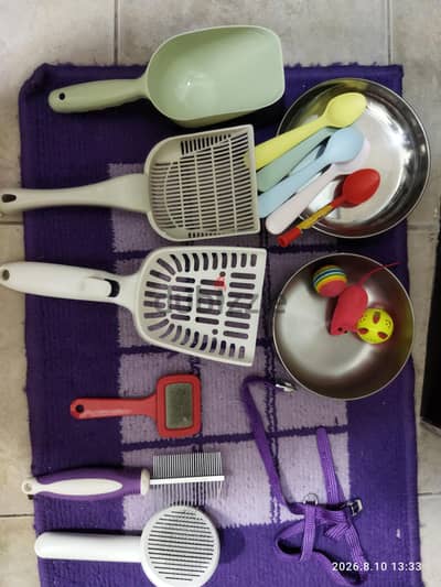 Cat Accessories and toys