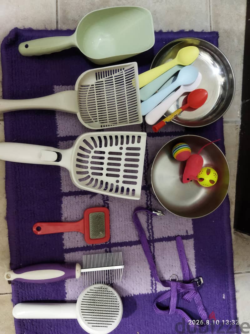 Cat Accessories and toys 1