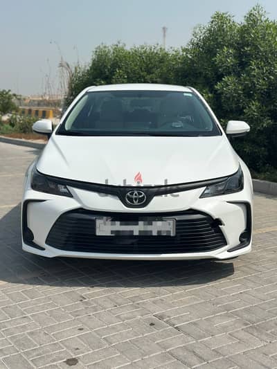 Toyota Corolla 2021 1.6 XLI