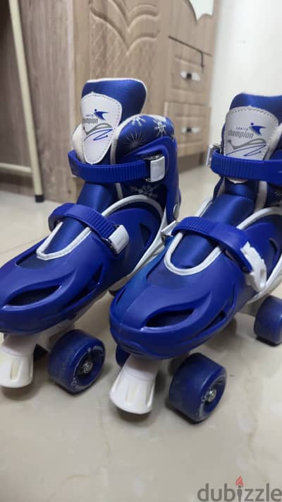 Brand New Champions Roller Skates for Sale !