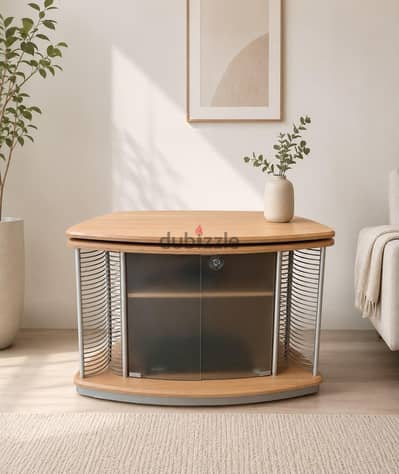 TV unit