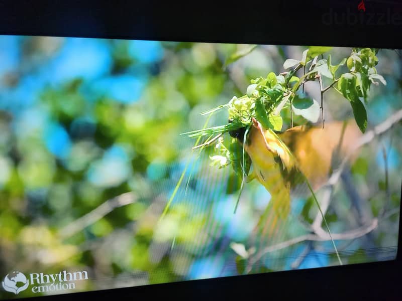 mega brand 57 inches smart tv 4k 3