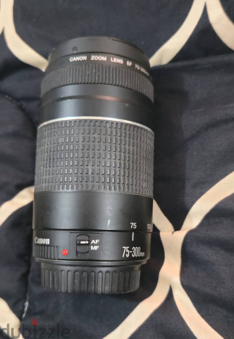 Canon 650D + Lens 2