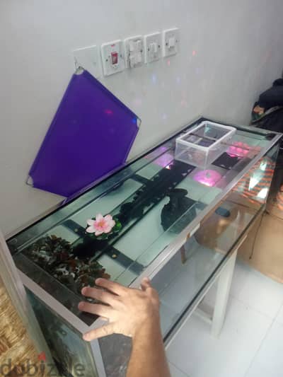 Aquarium fish Tank حوض سمك