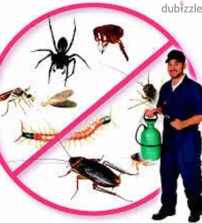 Professional Pest Control Services