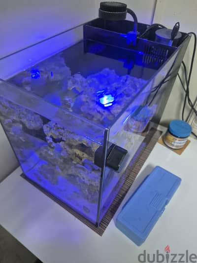 Marine tank for sale