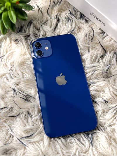 iPhone 12