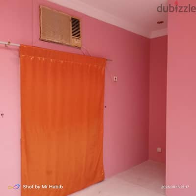 executive bachelors Indian only