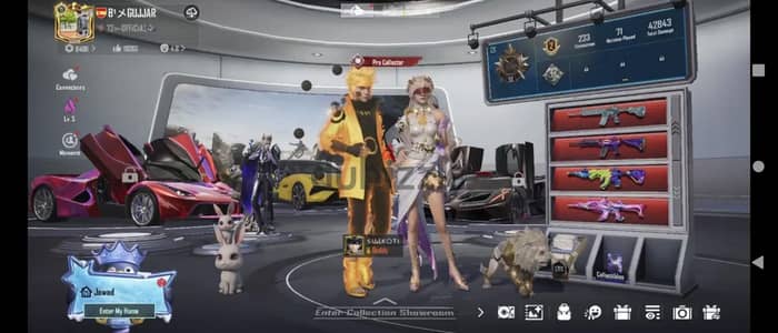 PubG Mobile account for sell 75 Collection level