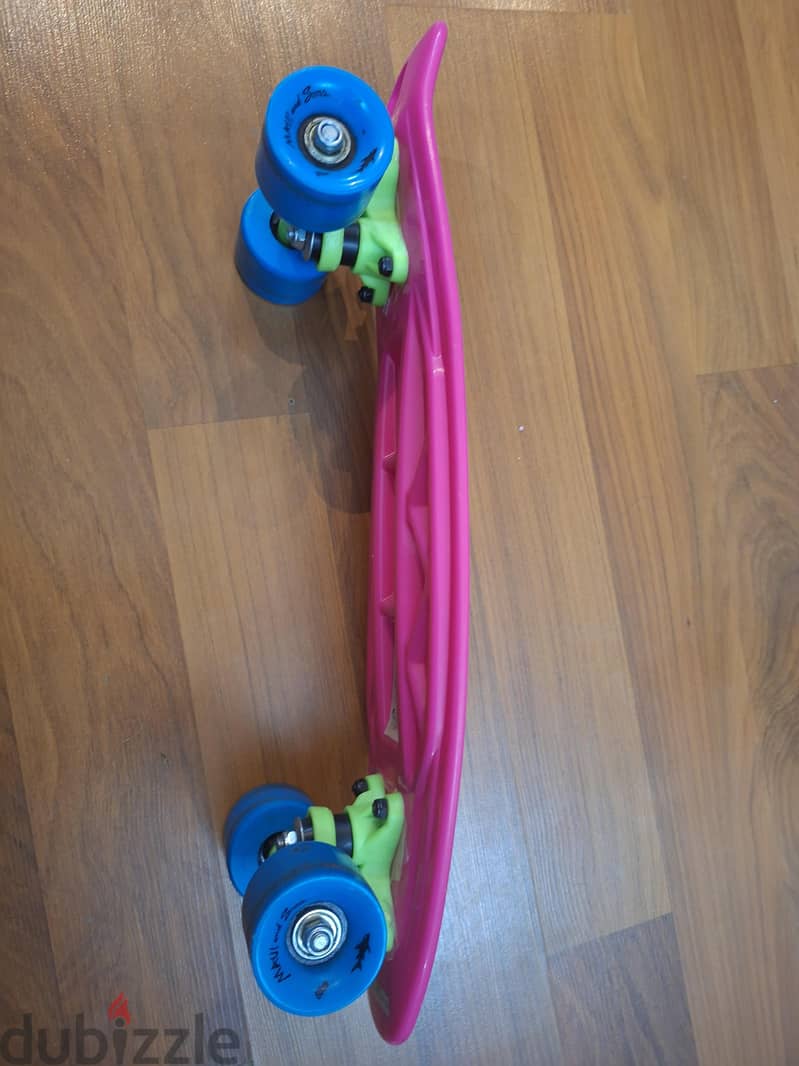 skateboard 1