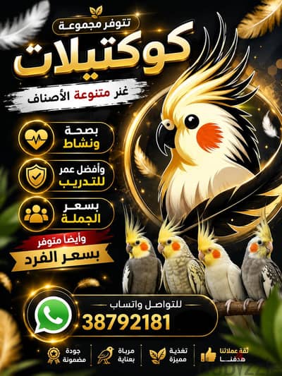 للبيع كوكتلات غر ر جملة ومفرد
